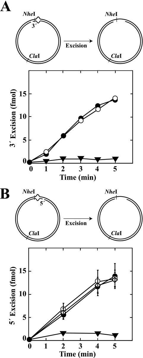 https://cdn.ncbi.nlm.nih.gov/pmc/blobs/12e4/2781695/4a081bdbac42/zbc0510996420006.jpg