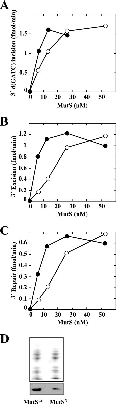 https://cdn.ncbi.nlm.nih.gov/pmc/blobs/12e4/2781695/cbafabdaf69f/zbc0510996420007.jpg