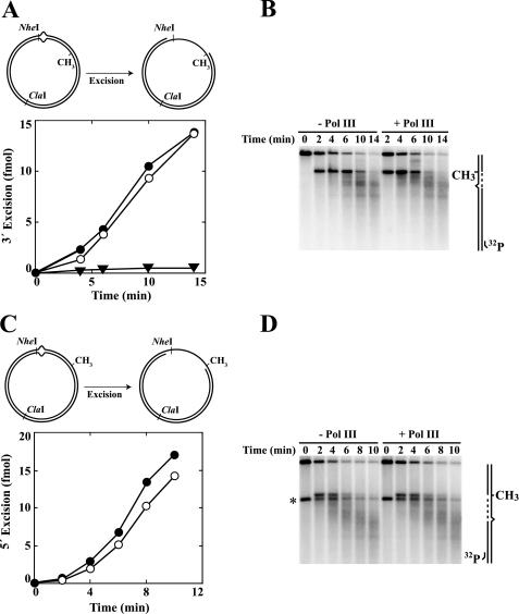 https://cdn.ncbi.nlm.nih.gov/pmc/blobs/12e4/2781695/fe08ed6f3062/zbc0510996420005.jpg