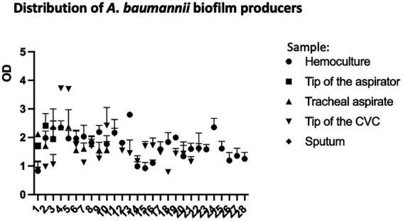 https://cdn.ncbi.nlm.nih.gov/pmc/blobs/12e5/9941878/6b9b45fca0b4/fmicb-14-1094184-g003.jpg