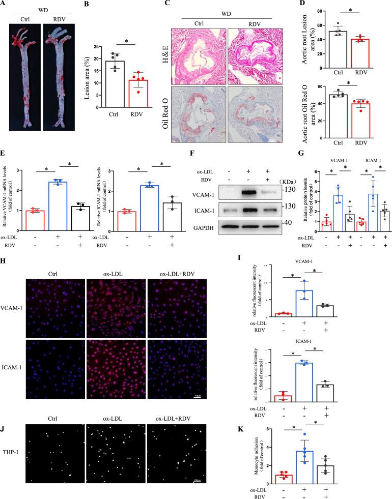 https://cdn.ncbi.nlm.nih.gov/pmc/blobs/12e7/12220244/00792a6530b3/12967_2025_6673_Fig1_HTML.jpg