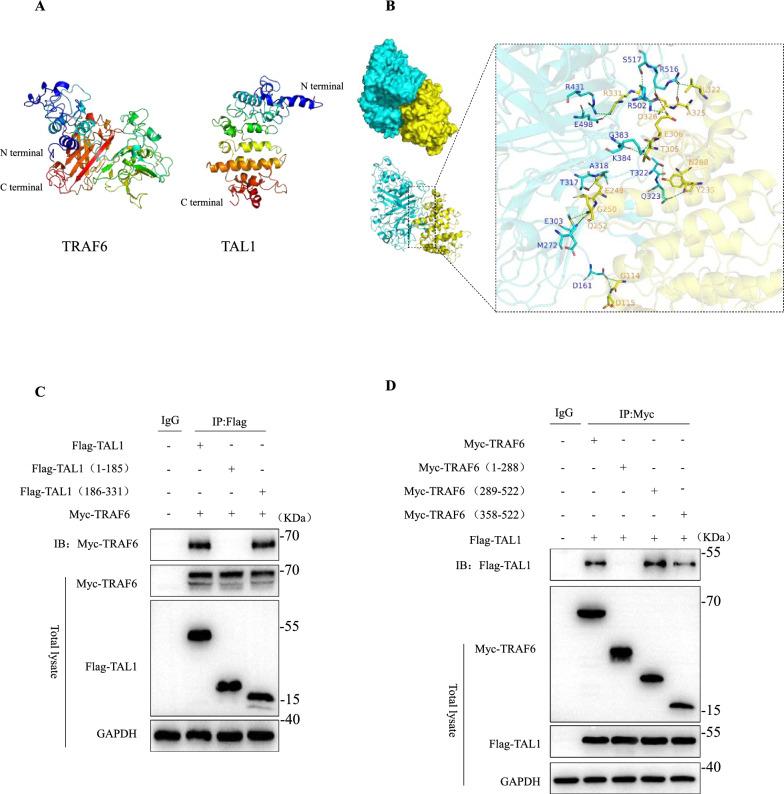 https://cdn.ncbi.nlm.nih.gov/pmc/blobs/12e7/12220244/07e92e1f346a/12967_2025_6673_Fig6_HTML.jpg