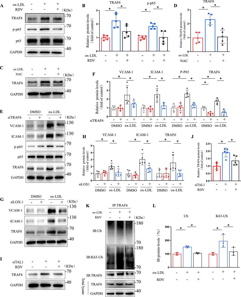 https://cdn.ncbi.nlm.nih.gov/pmc/blobs/12e7/12220244/cfc2dc67d82b/12967_2025_6673_Fig4_HTML.jpg