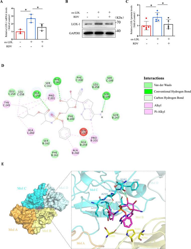 https://cdn.ncbi.nlm.nih.gov/pmc/blobs/12e7/12220244/d930add2df5c/12967_2025_6673_Fig2_HTML.jpg