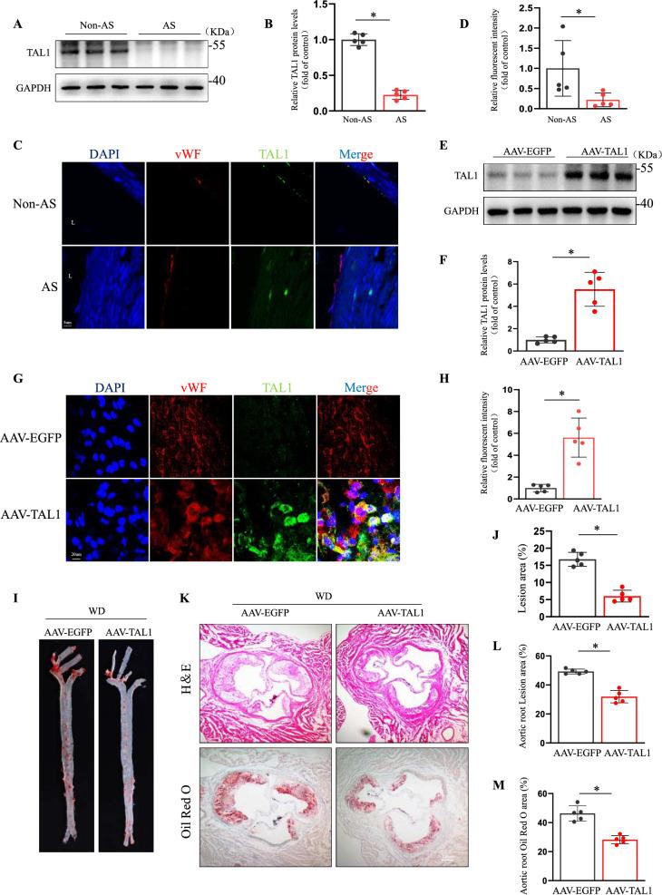 https://cdn.ncbi.nlm.nih.gov/pmc/blobs/12e7/12220244/fc999bc243f3/12967_2025_6673_Fig7_HTML.jpg