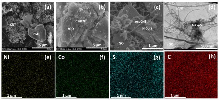 https://cdn.ncbi.nlm.nih.gov/pmc/blobs/12e7/9320902/a145b03a6966/nanomaterials-12-02403-g002.jpg