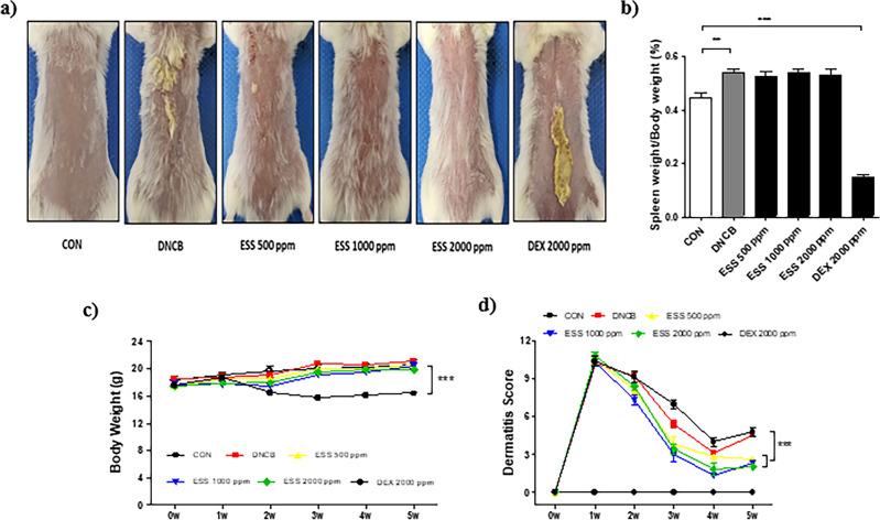 https://cdn.ncbi.nlm.nih.gov/pmc/blobs/12e9/11150456/f34e82a521ab/41598_2024_62828_Fig6_HTML.jpg