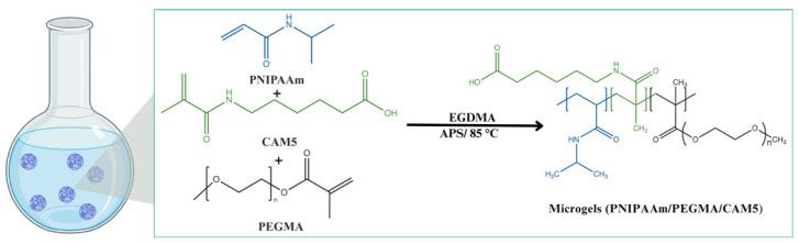 https://cdn.ncbi.nlm.nih.gov/pmc/blobs/12ee/11675903/bfaa771298f0/gels-10-00806-g007.jpg