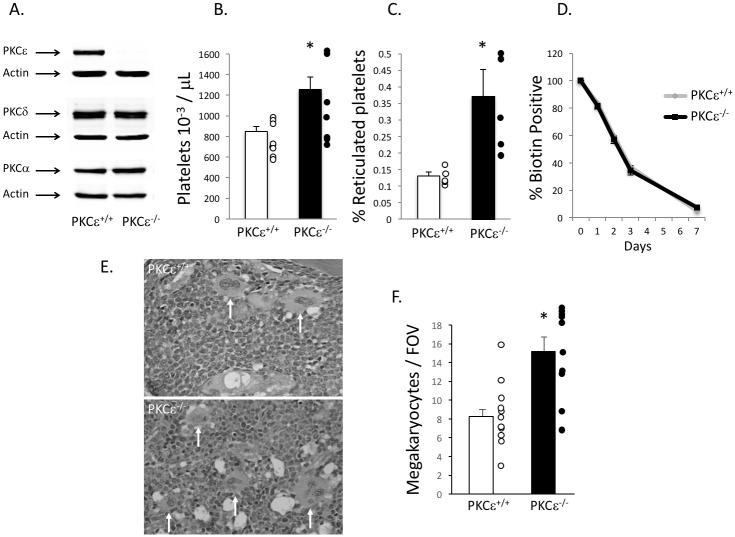 https://cdn.ncbi.nlm.nih.gov/pmc/blobs/12f0/5544228/8cfcfce02cc8/pone.0182867.g001.jpg