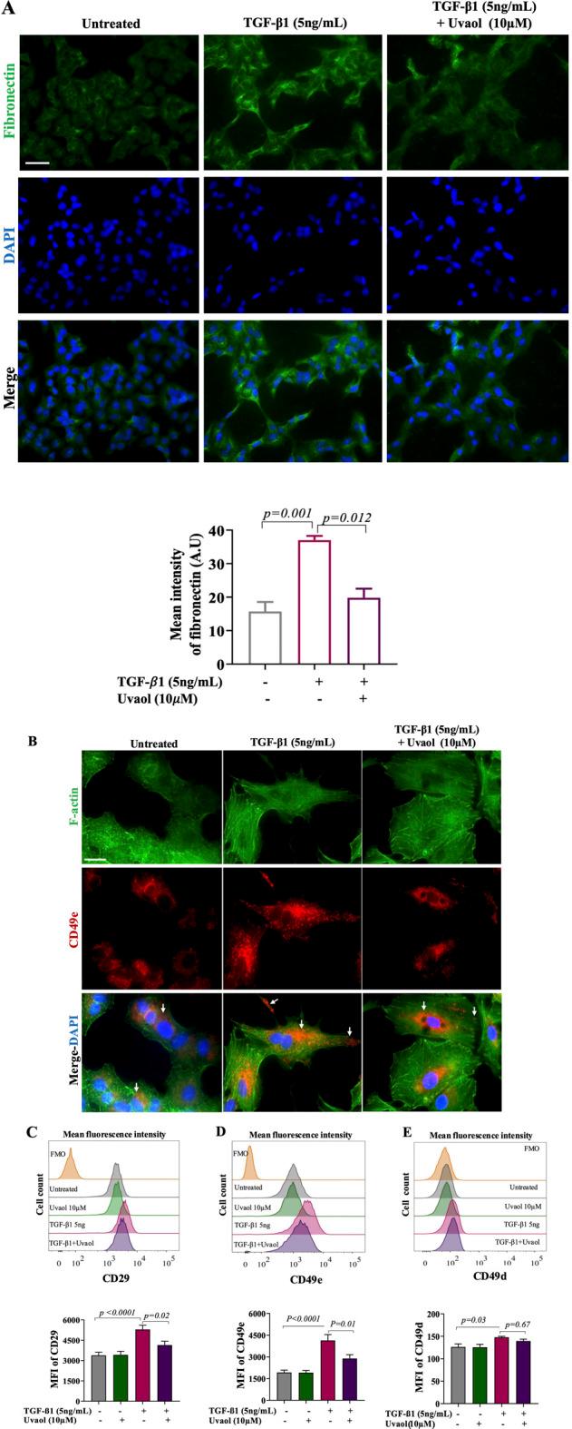 https://cdn.ncbi.nlm.nih.gov/pmc/blobs/12f1/11747490/6dd2c5f7ae57/fphar-15-1504556-g005.jpg