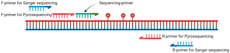 https://cdn.ncbi.nlm.nih.gov/pmc/blobs/12f1/12030890/08ea14fd28a1/viruses-17-00465-g001.jpg