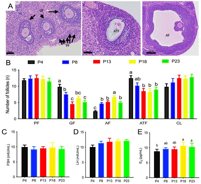 https://cdn.ncbi.nlm.nih.gov/pmc/blobs/12f3/10347210/a4e677a06d36/nutrients-15-03049-g003.jpg