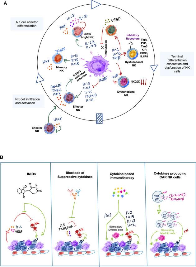 https://cdn.ncbi.nlm.nih.gov/pmc/blobs/12f3/7878550/a82d0f98354b/fimmu-11-621225-g001.jpg