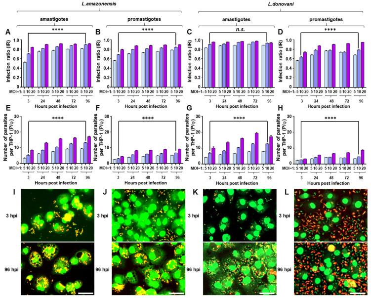 https://cdn.ncbi.nlm.nih.gov/pmc/blobs/12f4/7281264/dd785ed75f90/pathogens-09-00393-g003.jpg