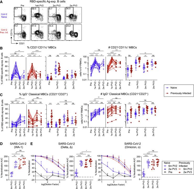 https://cdn.ncbi.nlm.nih.gov/pmc/blobs/12f4/8926873/648d80c585a0/gr3_lrg.jpg