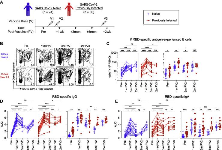 https://cdn.ncbi.nlm.nih.gov/pmc/blobs/12f4/8926873/677d859035e3/gr1_lrg.jpg