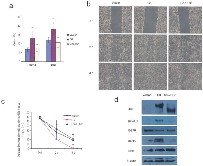 https://cdn.ncbi.nlm.nih.gov/pmc/blobs/12f6/2974650/50aa7a217f18/pone.0013828.g010.jpg