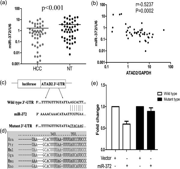 https://cdn.ncbi.nlm.nih.gov/pmc/blobs/12f8/4016509/e589e03a7f27/1471-2407-14-107-7.jpg