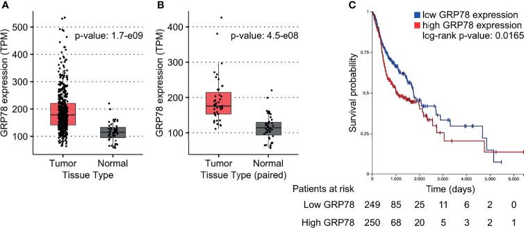 https://cdn.ncbi.nlm.nih.gov/pmc/blobs/12f9/8921984/3996421dce82/fonc-12-842418-g001.jpg