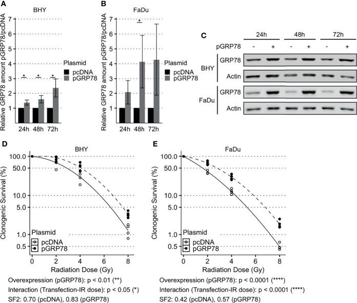 https://cdn.ncbi.nlm.nih.gov/pmc/blobs/12f9/8921984/930868a51233/fonc-12-842418-g003.jpg