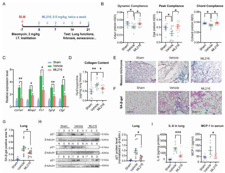 https://cdn.ncbi.nlm.nih.gov/pmc/blobs/12fe/9818470/554bad9de3b4/cells-12-00145-g007.jpg