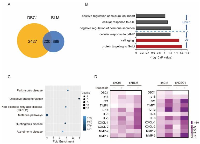 https://cdn.ncbi.nlm.nih.gov/pmc/blobs/12fe/9818470/afc6ad08ca00/cells-12-00145-g003.jpg