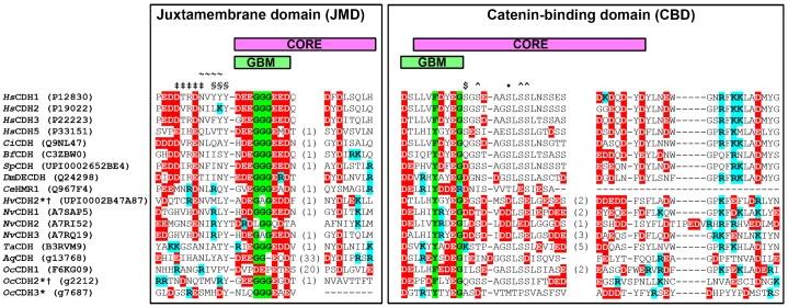 https://cdn.ncbi.nlm.nih.gov/pmc/blobs/12ff/4265756/ca9737d98074/bio-03-12-1183-f02.jpg