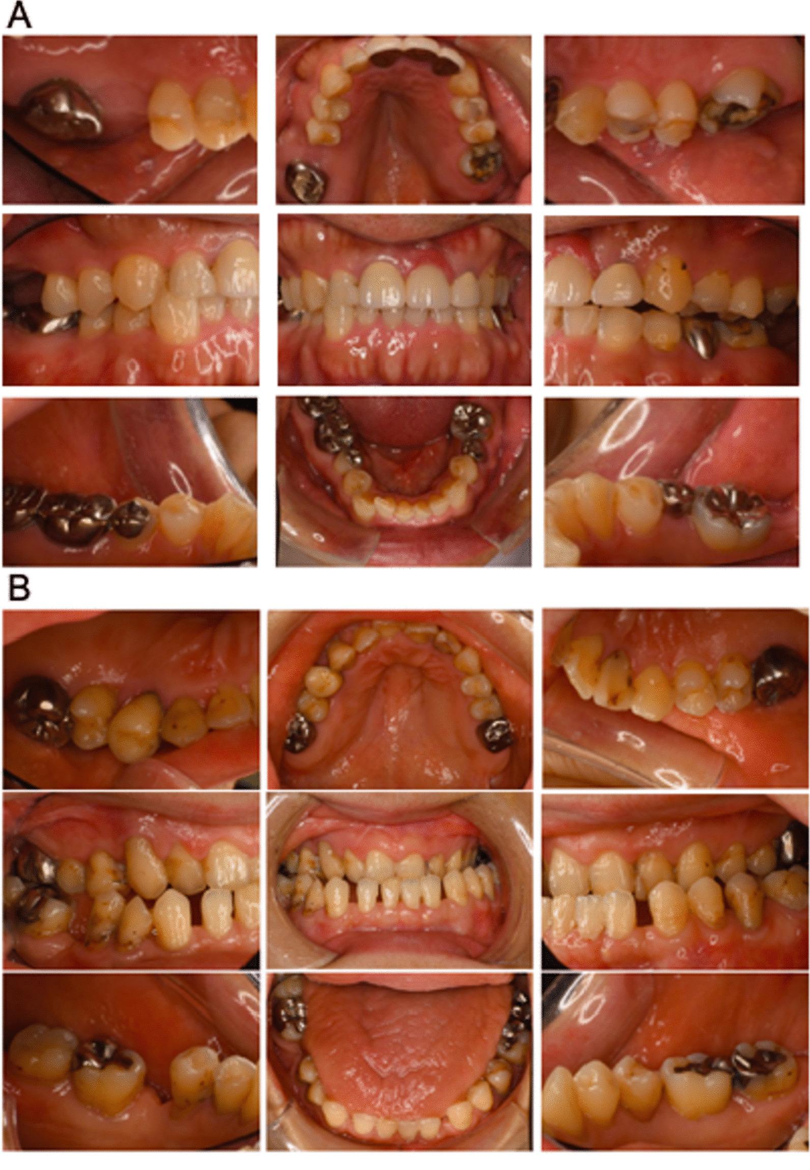 https://cdn.ncbi.nlm.nih.gov/pmc/blobs/12ff/9361515/93a5e6fe3997/12903_2022_2361_Fig2_HTML.jpg