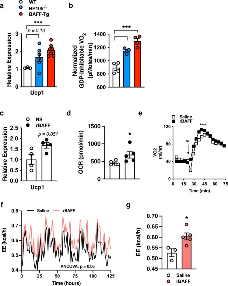 https://cdn.ncbi.nlm.nih.gov/pmc/blobs/1300/8131685/5db68fb7d983/41467_2021_23084_Fig3_HTML.jpg