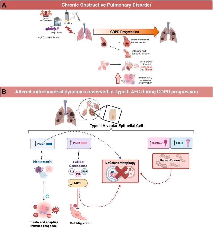 https://cdn.ncbi.nlm.nih.gov/pmc/blobs/1302/10844980/0ff82addb23e/gr5.jpg