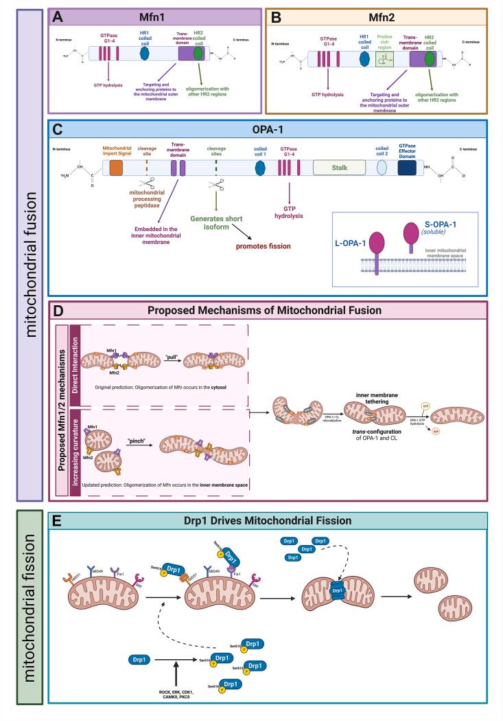 https://cdn.ncbi.nlm.nih.gov/pmc/blobs/1302/10844980/bc0cbc330e99/gr2.jpg