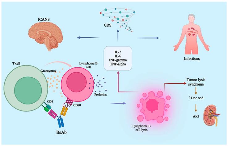 https://cdn.ncbi.nlm.nih.gov/pmc/blobs/1303/12347617/047aa473d88e/jcm-14-05534-g001.jpg
