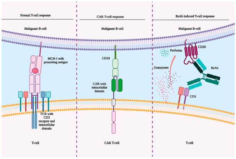 https://cdn.ncbi.nlm.nih.gov/pmc/blobs/1303/12347617/130fad185a51/jcm-14-05534-g002.jpg