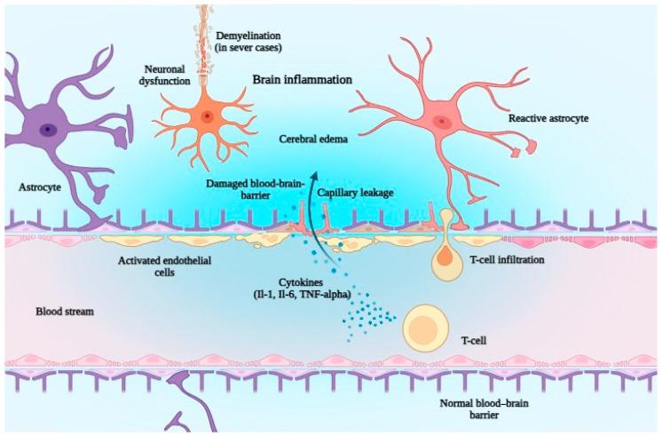 https://cdn.ncbi.nlm.nih.gov/pmc/blobs/1303/12347617/9cee315e310f/jcm-14-05534-g003.jpg
