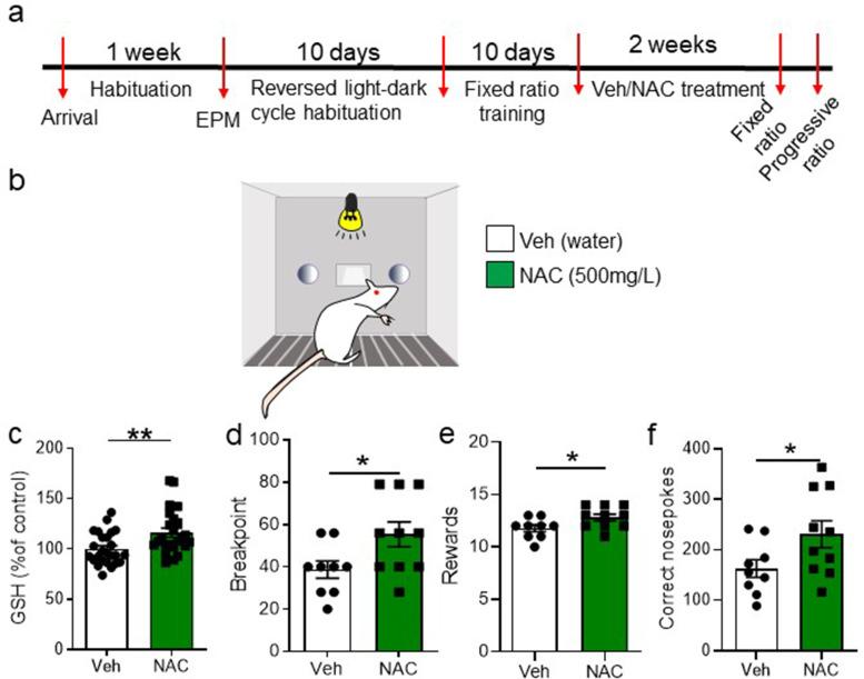 https://cdn.ncbi.nlm.nih.gov/pmc/blobs/1304/9642999/af1ea48b12f3/elife-77791-fig5.jpg