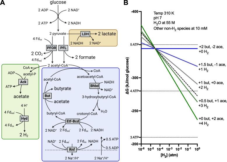 https://cdn.ncbi.nlm.nih.gov/pmc/blobs/1305/10268494/ceddf5ffe8b2/40168_2023_1565_Fig1_HTML.jpg