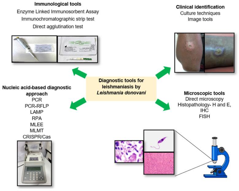 https://cdn.ncbi.nlm.nih.gov/pmc/blobs/1305/10529649/64b947f1cddb/diagnostics-13-02989-g001.jpg
