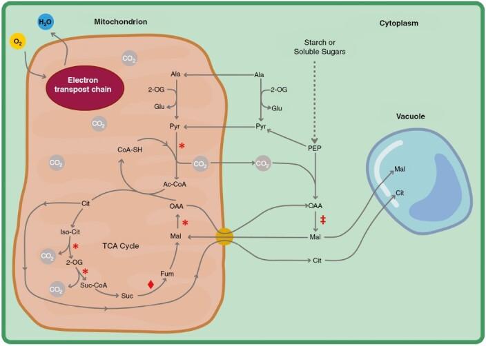 https://cdn.ncbi.nlm.nih.gov/pmc/blobs/1305/10799998/5955c3fe7d20/mcad119_fig1.jpg