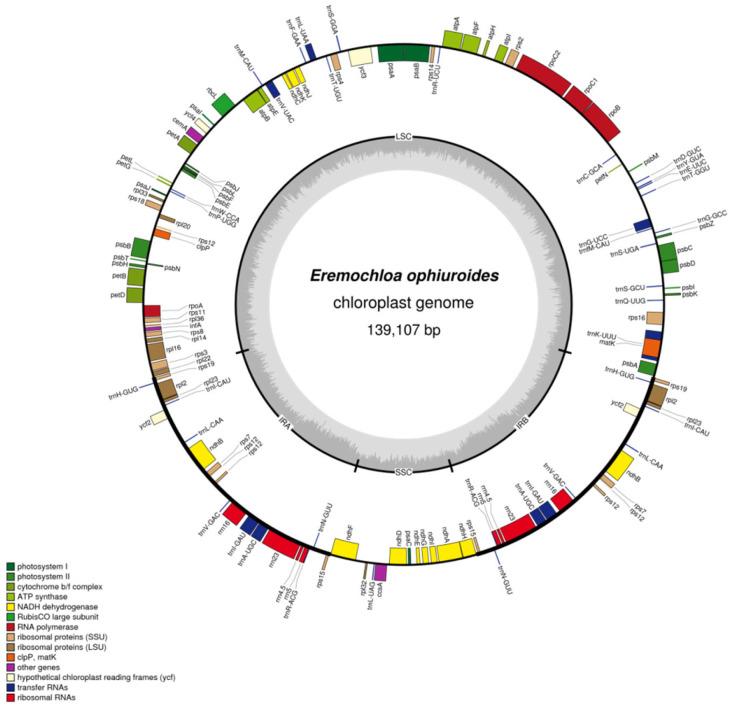 https://cdn.ncbi.nlm.nih.gov/pmc/blobs/1305/10888139/cdd30d0e9446/cimb-46-00106-g001.jpg