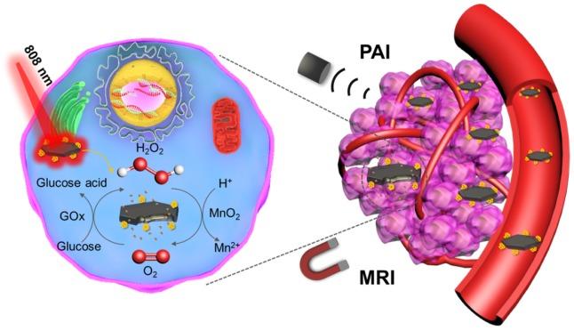 https://cdn.ncbi.nlm.nih.gov/pmc/blobs/1307/6993236/507a9ee07328/thnov10p1544g001.jpg