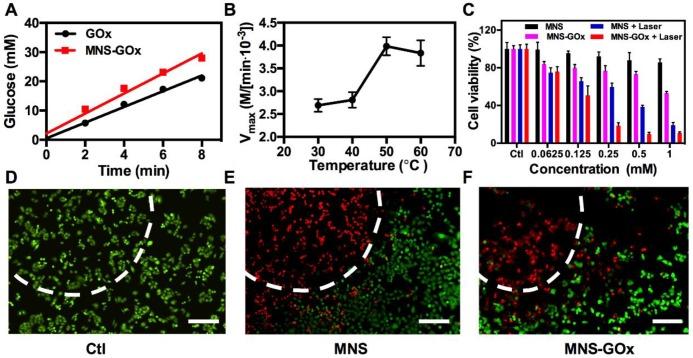 https://cdn.ncbi.nlm.nih.gov/pmc/blobs/1307/6993236/d0a1d2f7240d/thnov10p1544g004.jpg