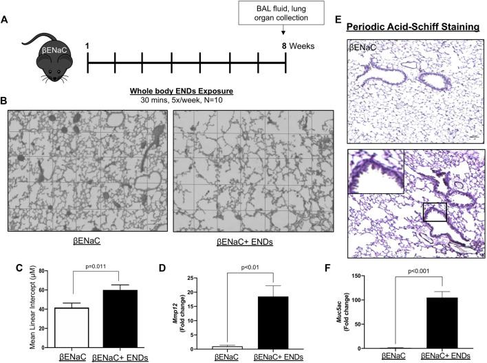 https://cdn.ncbi.nlm.nih.gov/pmc/blobs/1308/8355703/47bd38ddb03e/fphar-12-726586-g001.jpg