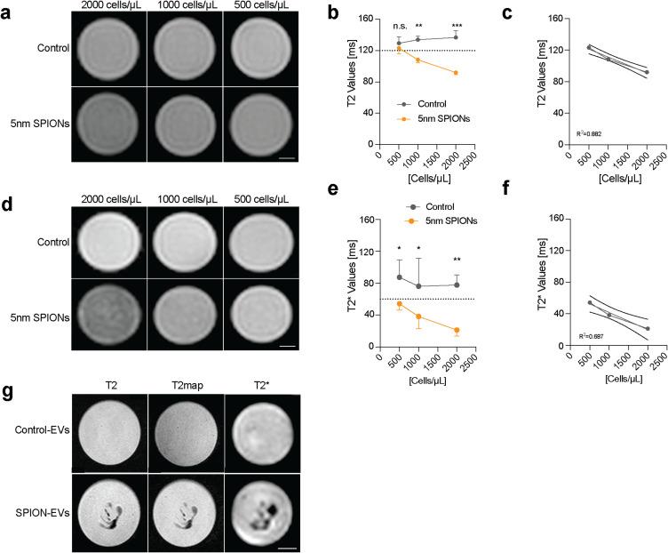 https://cdn.ncbi.nlm.nih.gov/pmc/blobs/130d/12174924/e19fa2bd938a/IJN-20-7501-g0004.jpg