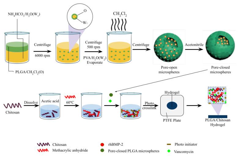 https://cdn.ncbi.nlm.nih.gov/pmc/blobs/130e/11359499/4bd4a3363d4f/pharmaceutics-16-00976-g003.jpg