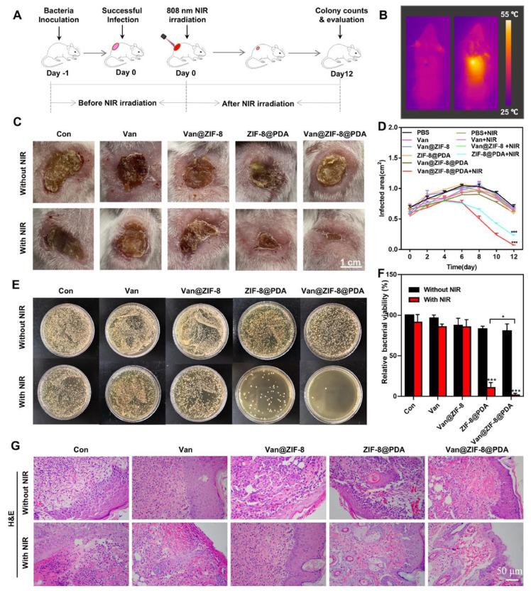 https://cdn.ncbi.nlm.nih.gov/pmc/blobs/130e/11359499/874def738522/pharmaceutics-16-00976-g001.jpg