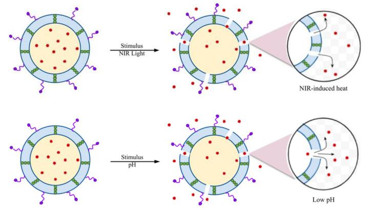 https://cdn.ncbi.nlm.nih.gov/pmc/blobs/130e/11359499/b7944fe53867/pharmaceutics-16-00976-g002.jpg
