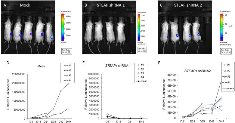 https://cdn.ncbi.nlm.nih.gov/pmc/blobs/130e/6110897/61d73c53cf2f/fphys-09-01132-g003.jpg