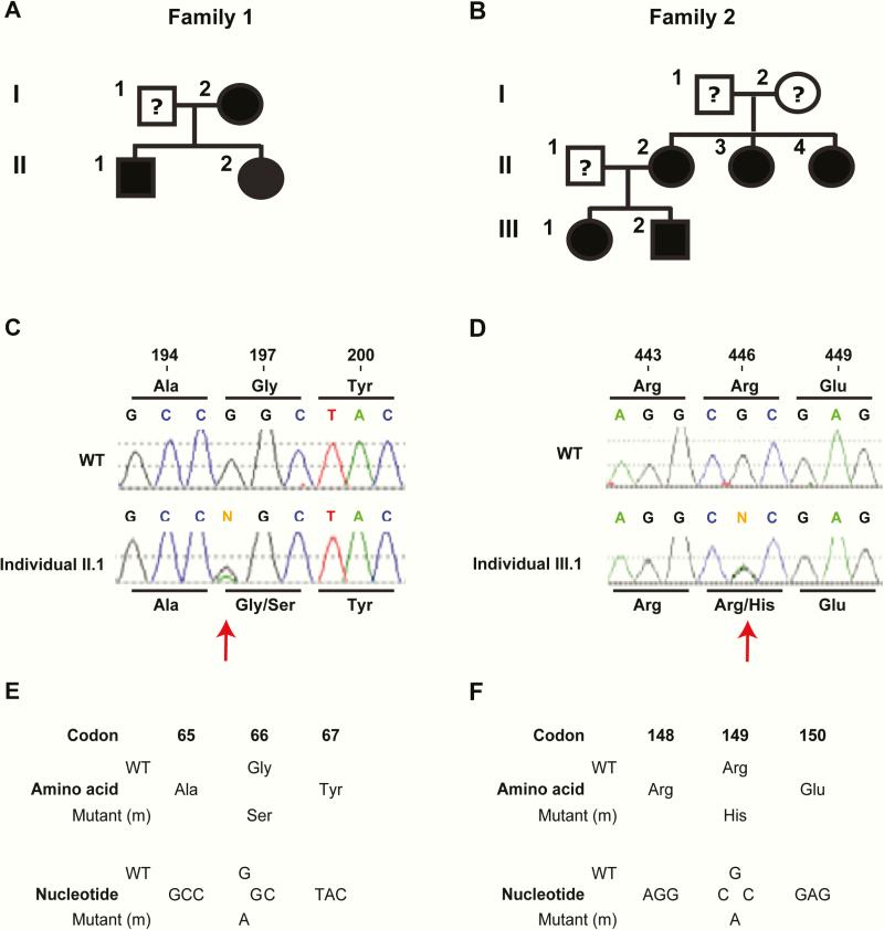 https://cdn.ncbi.nlm.nih.gov/pmc/blobs/130e/7048683/24a3d9b2c752/dgz251f0002.jpg