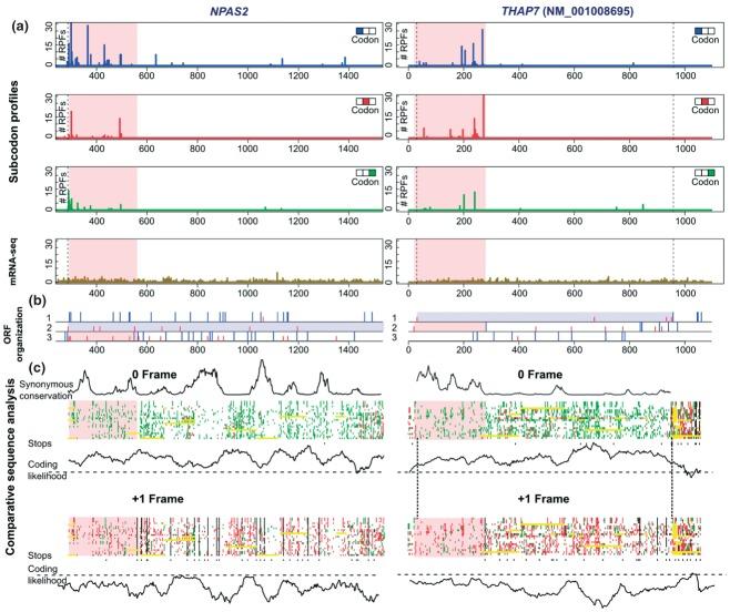 https://cdn.ncbi.nlm.nih.gov/pmc/blobs/130f/3823065/8ec62fec1881/wrna0004-0473-f7.jpg