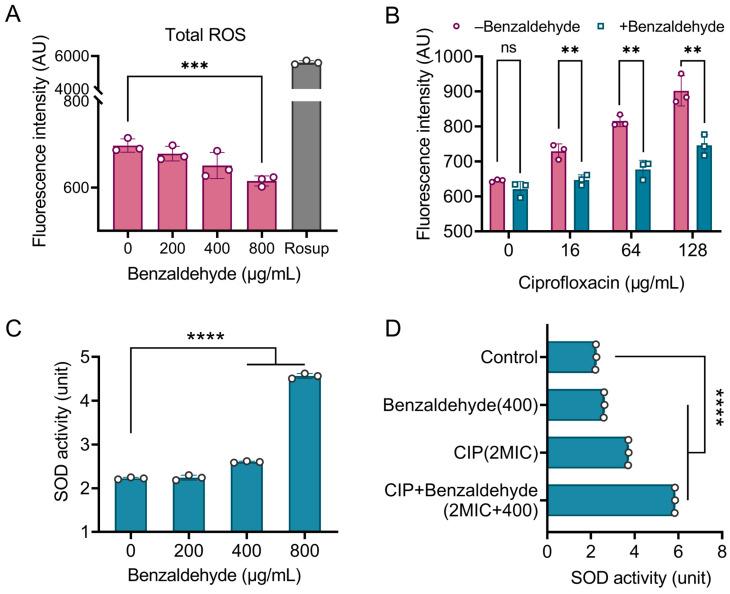https://cdn.ncbi.nlm.nih.gov/pmc/blobs/1310/11354442/a9c62ad928b6/ijms-25-08843-g006.jpg